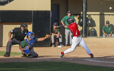 Black Bears Bats Come Alive to Beat NorthPaws in Series Opener