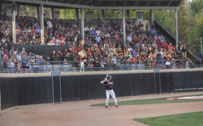 AppleSox Beat NorthPaws in Playoff Opener