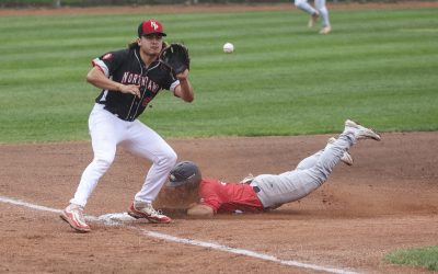 NorthPaws take on the HarborCats in 2024 WCL Opening Series