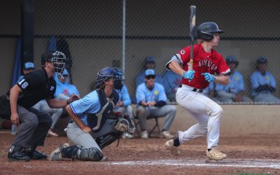 HarbourCats bats stay hot securing the series sweep