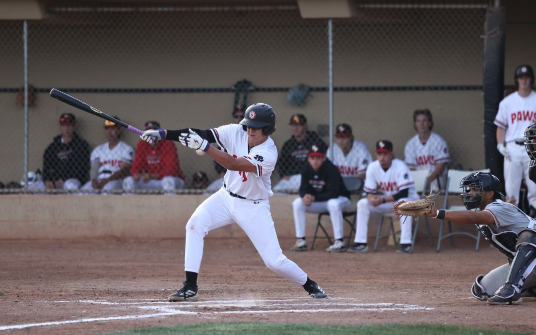 Knights score 9 unanswered stunning NorthPaws on opening night