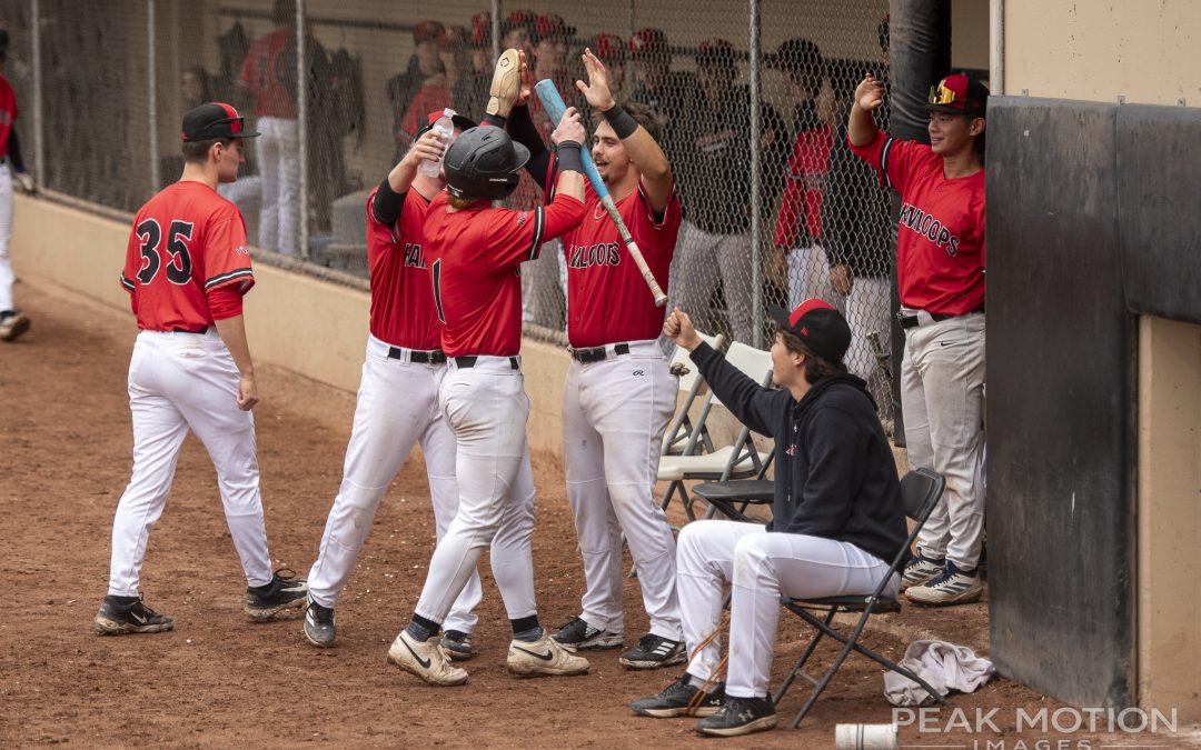 NorthPaws secure first home win in weather shortned game