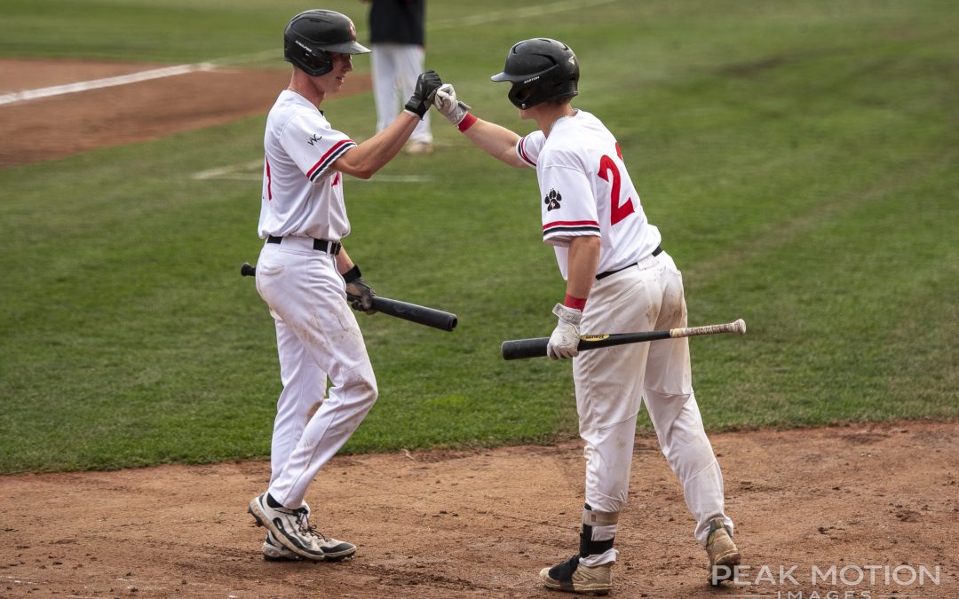 NorthPaws fend off Lefties late rally winning game two
