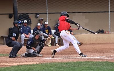 NorthPaws late rally not enough to overcome Falcons big fifth inning