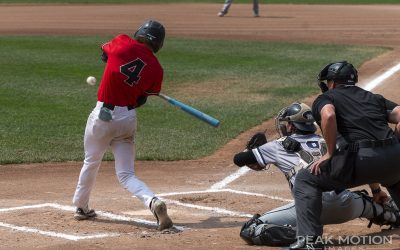 NorthPaws take the series in dominating fashion