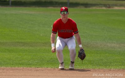 HarbourCats shell NorthPaws on Saturday night